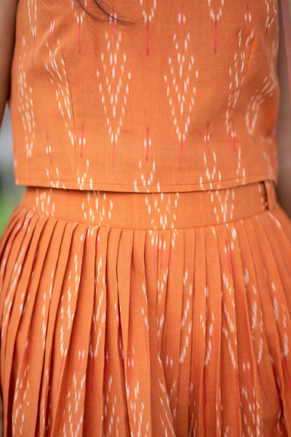 Ikkat Top & Skirt